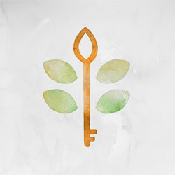 Keys to Freedom 3 - Renewing the Mind